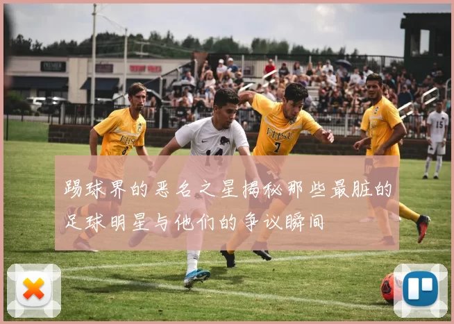 踢球界的恶名之星揭秘那些最脏的足球明星与他们的争议瞬间
