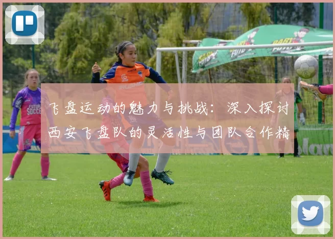 飞盘运动的魅力与挑战：深入探讨西安飞盘队的灵活性与团队合作精神