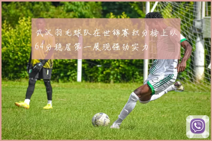 武汉羽毛球队在世锦赛积分榜上以64分稳居第一展现强劲实力
