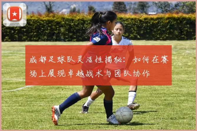 成都足球队灵活性揭秘：如何在赛场上展现卓越战术与团队协作