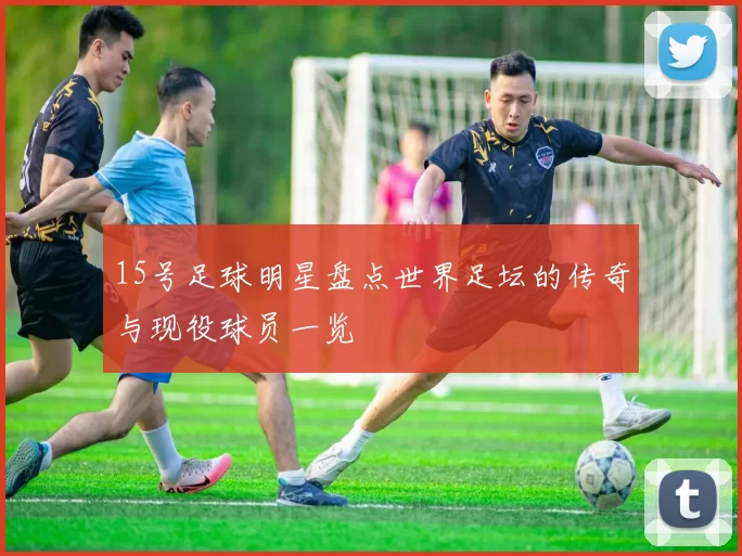 15号足球明星盘点世界足坛的传奇与现役球员一览