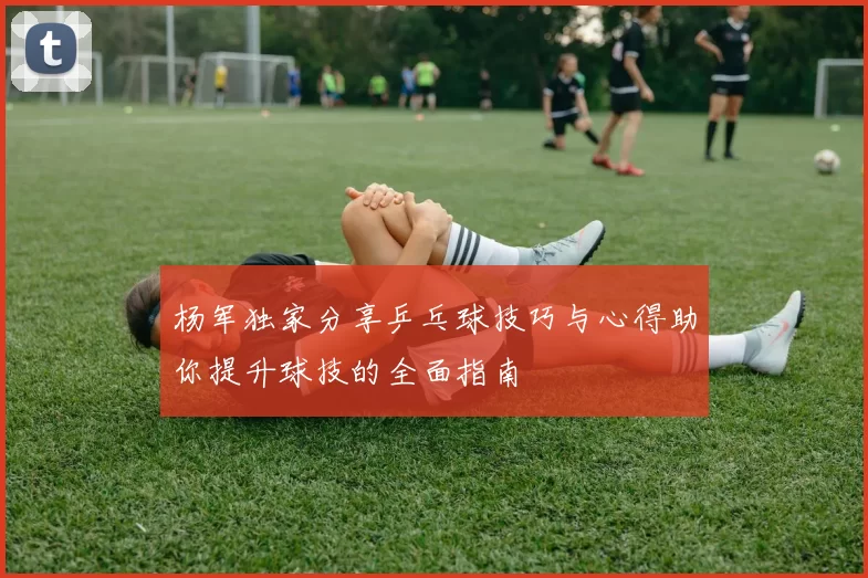 杨军独家分享乒乓球技巧与心得助你提升球技的全面指南