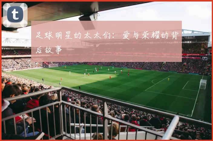 足球明星的太太们：爱与荣耀的背后故事