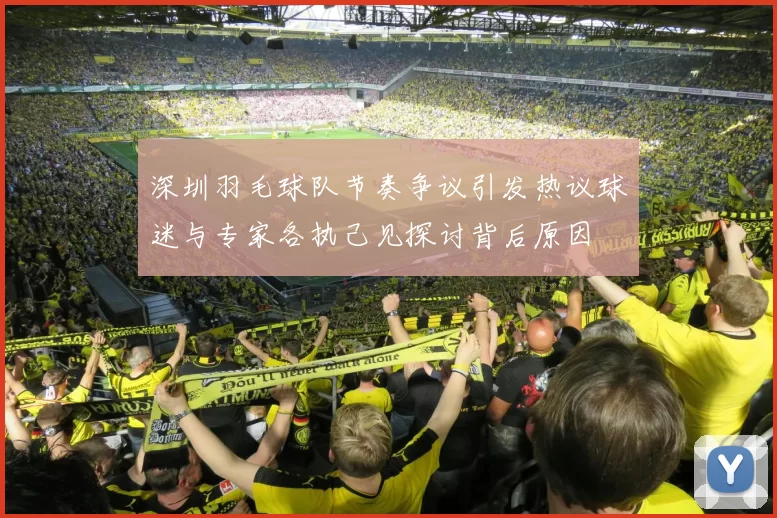 深圳羽毛球队节奏争议引发热议球迷与专家各执己见探讨背后原因