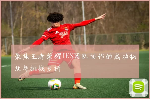 聚焦王者荣耀TES团队协作的成功秘诀与挑战分析