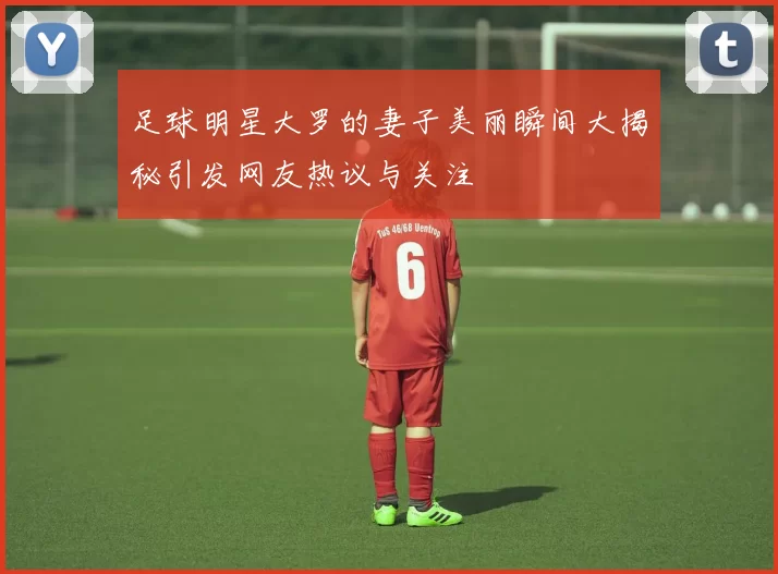 足球明星大罗的妻子美丽瞬间大揭秘引发网友热议与关注