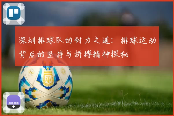 深圳排球队的耐力之道：排球运动背后的坚持与拼搏精神探秘