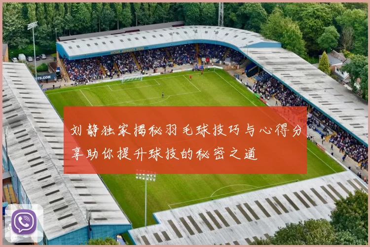 刘静独家揭秘羽毛球技巧与心得分享助你提升球技的秘密之道