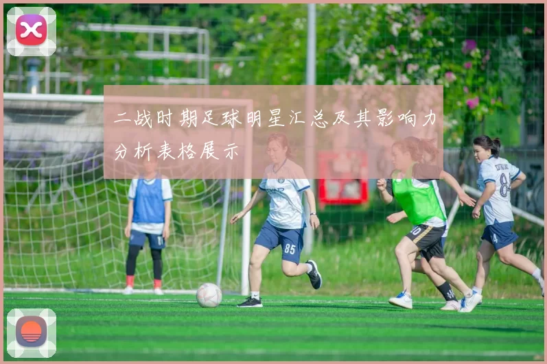 二战时期足球明星汇总及其影响力分析表格展示
