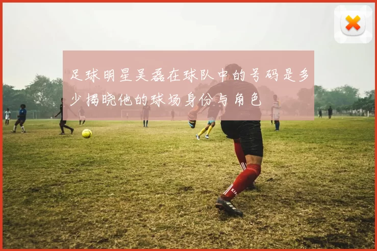 足球明星吴磊在球队中的号码是多少揭晓他的球场身份与角色