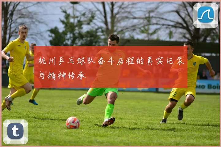 杭州乒乓球队奋斗历程的真实记录与精神传承