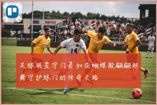 足球明星守门员如花蝴蝶般翩翩起舞守护球门的传奇之路