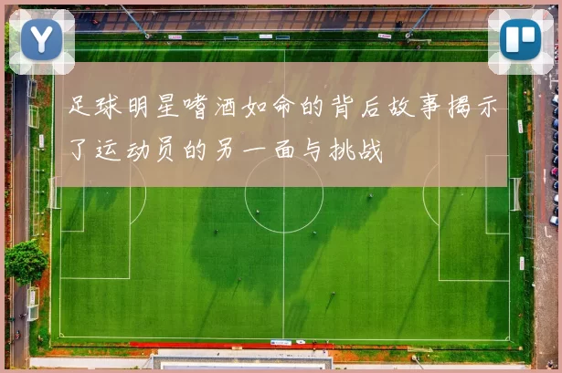足球明星嗜酒如命的背后故事揭示了运动员的另一面与挑战