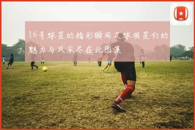 16号球星的精彩瞬间足球明星们的魅力与风采尽在此图集