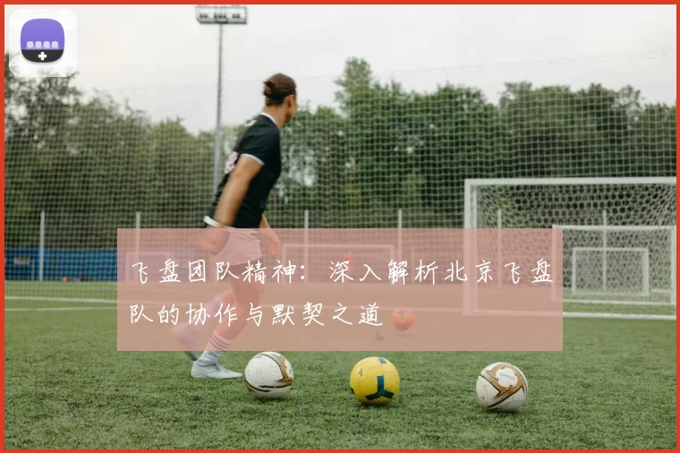 飞盘团队精神：深入解析北京飞盘队的协作与默契之道