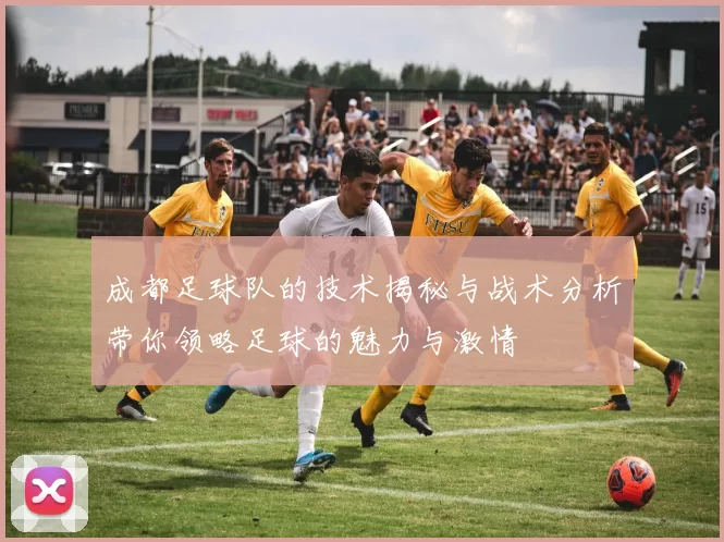 成都足球队的技术揭秘与战术分析带你领略足球的魅力与激情