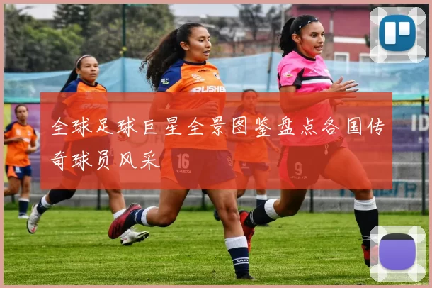 全球足球巨星全景图鉴盘点各国传奇球员风采