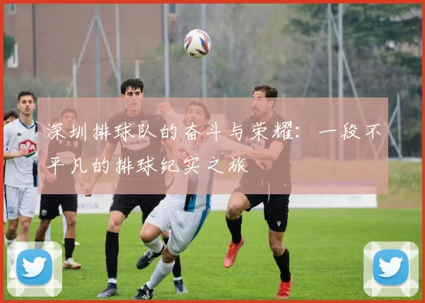 深圳排球队的奋斗与荣耀：一段不平凡的排球纪实之旅