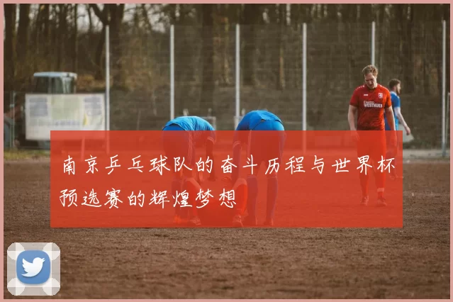 南京乒乓球队的奋斗历程与世界杯预选赛的辉煌梦想