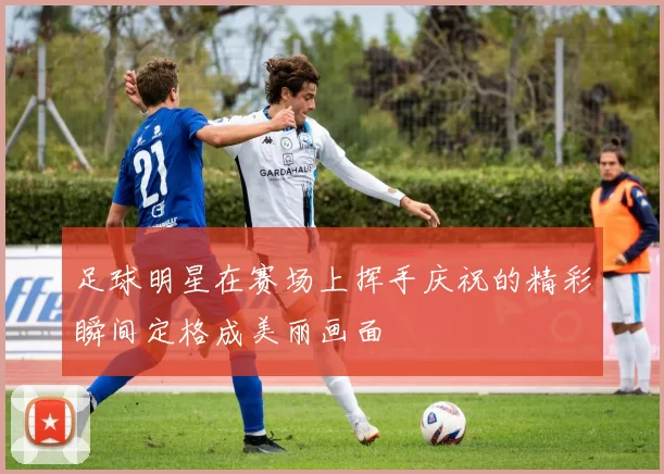 足球明星在赛场上挥手庆祝的精彩瞬间定格成美丽画面