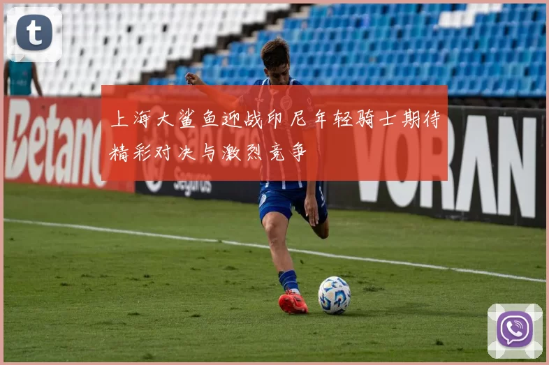 上海大鲨鱼迎战印尼年轻骑士期待精彩对决与激烈竞争