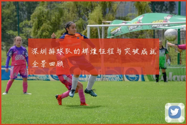 深圳排球队的辉煌征程与突破成就全景回顾