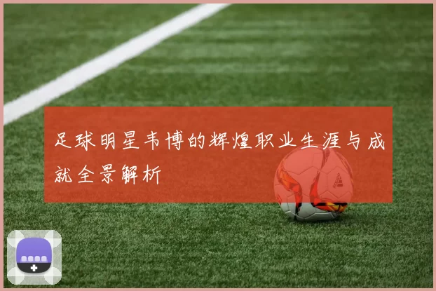 足球明星韦博的辉煌职业生涯与成就全景解析
