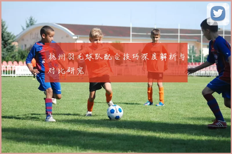 杭州羽毛球队配合技巧深度解析与对比研究