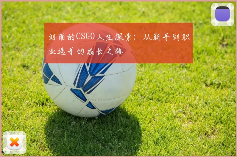 刘丽的CSGO人生探索：从新手到职业选手的成长之路
