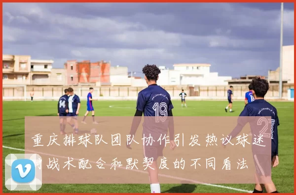 重庆排球队团队协作引发热议球迷对战术配合和默契度的不同看法