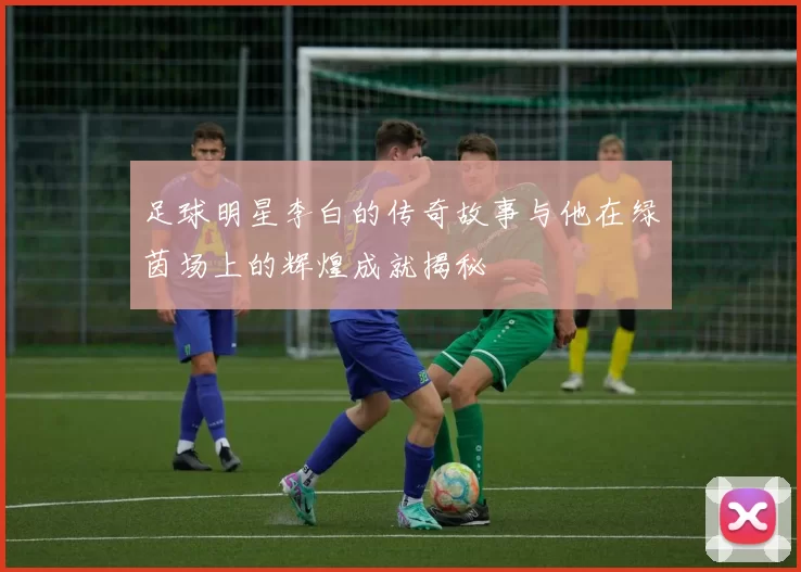 足球明星李白的传奇故事与他在绿茵场上的辉煌成就揭秘