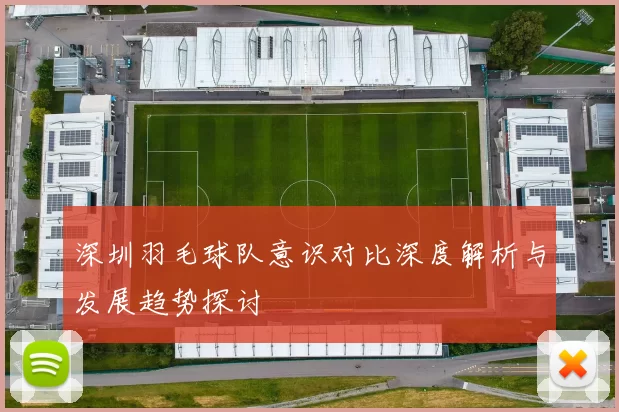 深圳羽毛球队意识对比深度解析与发展趋势探讨