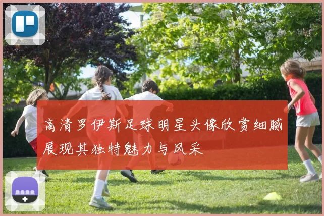 高清罗伊斯足球明星头像欣赏细腻展现其独特魅力与风采