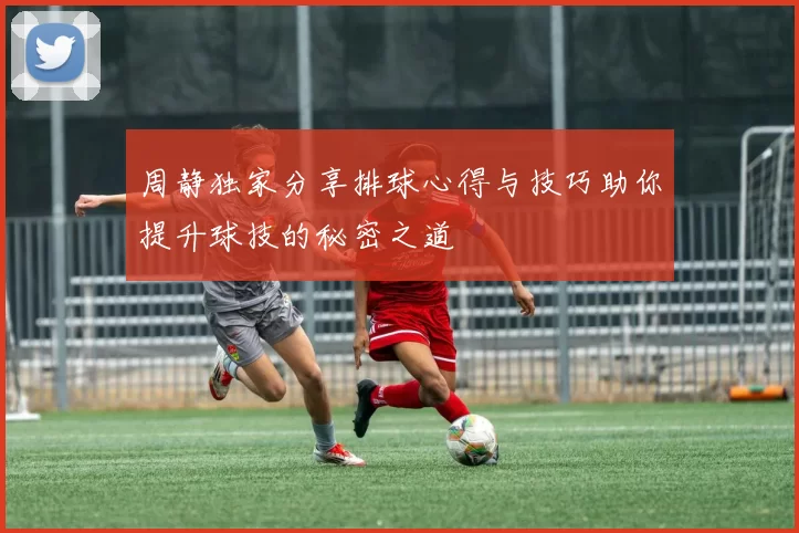周静独家分享排球心得与技巧助你提升球技的秘密之道