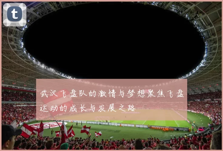 武汉飞盘队的激情与梦想聚焦飞盘运动的成长与发展之路